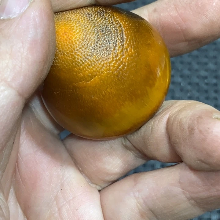 滴血莲花菩提吊坠