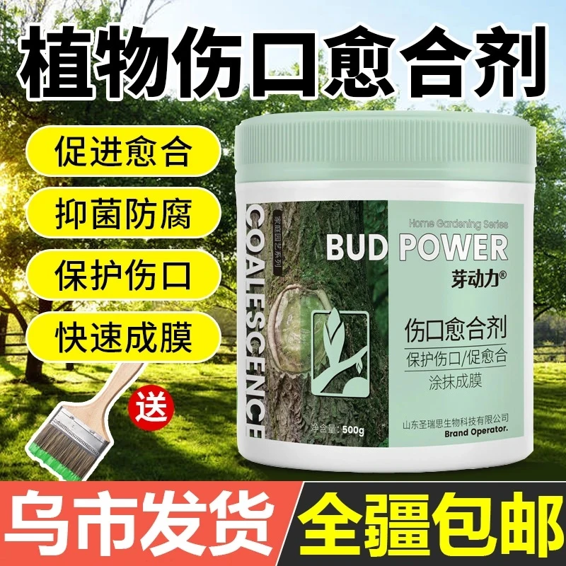伤口愈合剂植物果树盆景剪枝嫁接专用防腐促进愈合