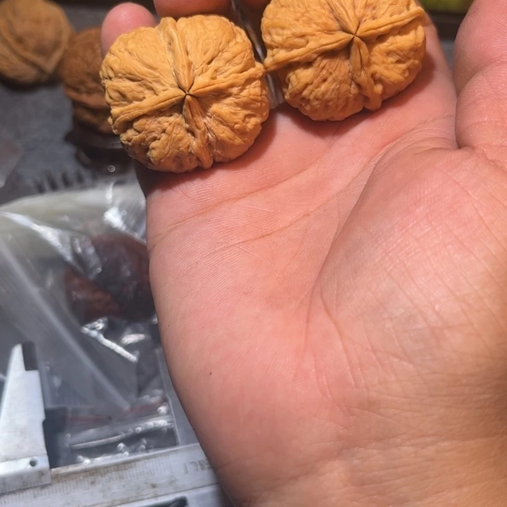 文玩核桃吊坠滇西70