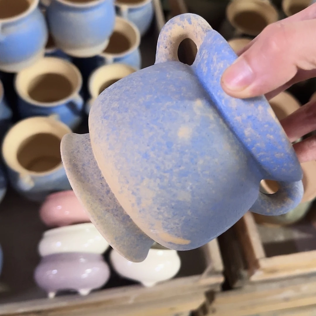 福利局绿植多肉盆［凑9元包邮24小时发］