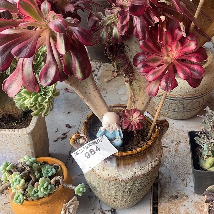 964，香奈儿缀包邮