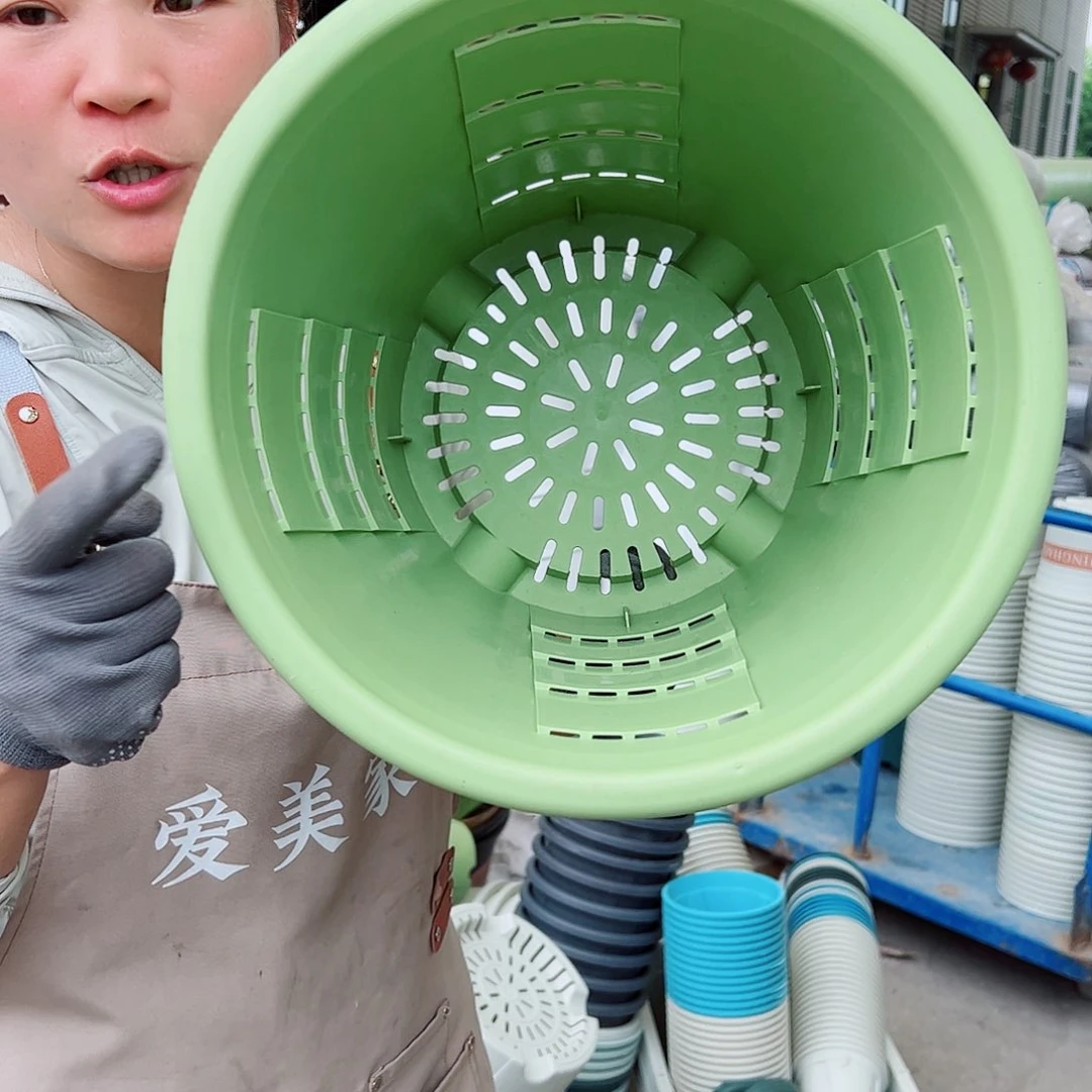 玫瑰320#果绿色5个无托