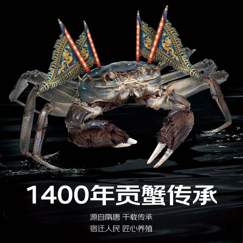 【活蟹】蟹琳妹大闸蟹全母蟹3.0-2.8两/只共8只顺丰包邮鲜活到家