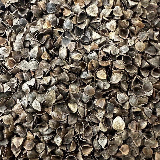 精选俄罗斯优质荞麦壳 枕头填充 2斤装