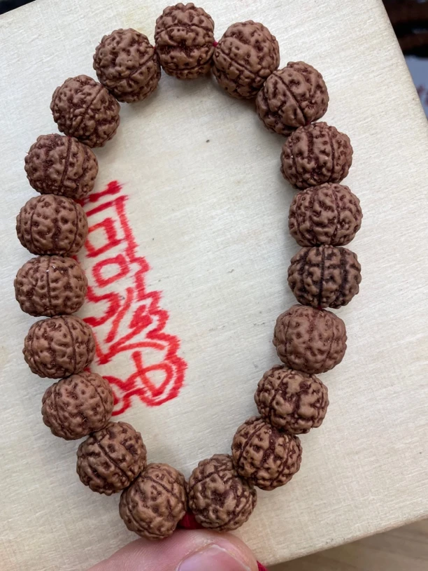 毕业级规整度火焰龙，无清理子预防有遗漏黄，都会多串备子，圈口大。