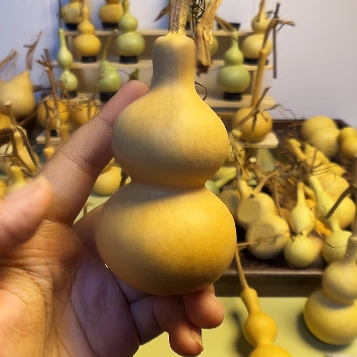 *****大叶紫檀（黑酸枝木类）