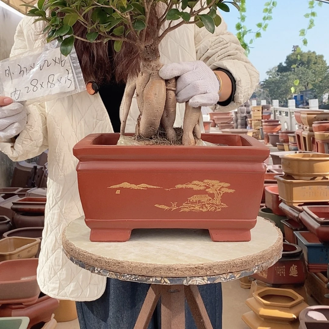 紫砂花盆紫砂花盆