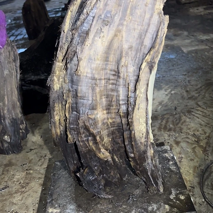 好****乌木金丝楠摆件毛料