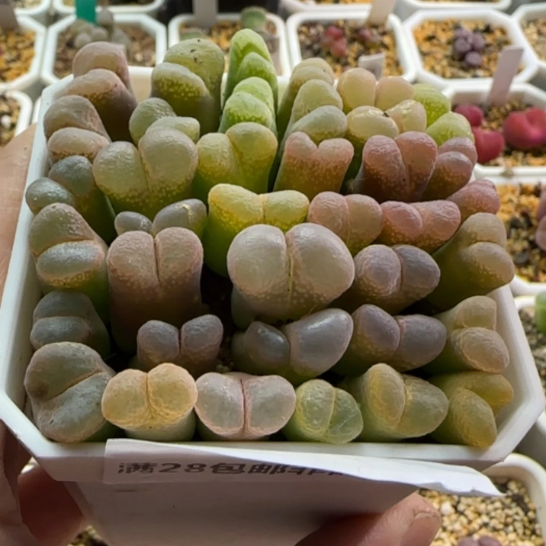 【闪购商品】?13460