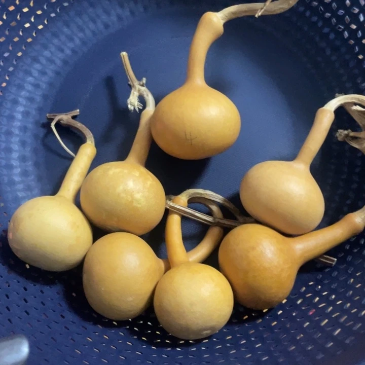 4号独把七个默认微瑕