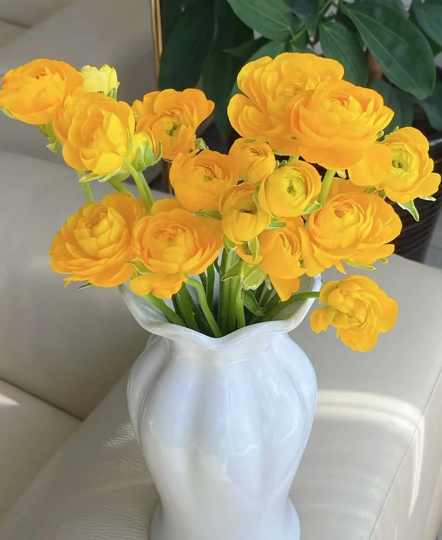 【葡噗花舍】黄色洋牡丹 中长腿 1扎10枝