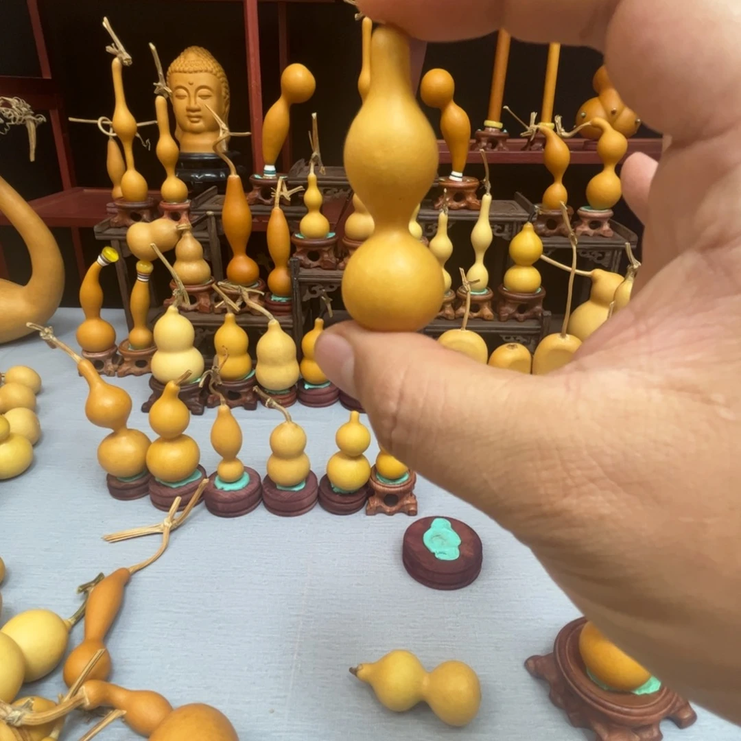 ****o藤木我的小可爱，一点也不像个女孩