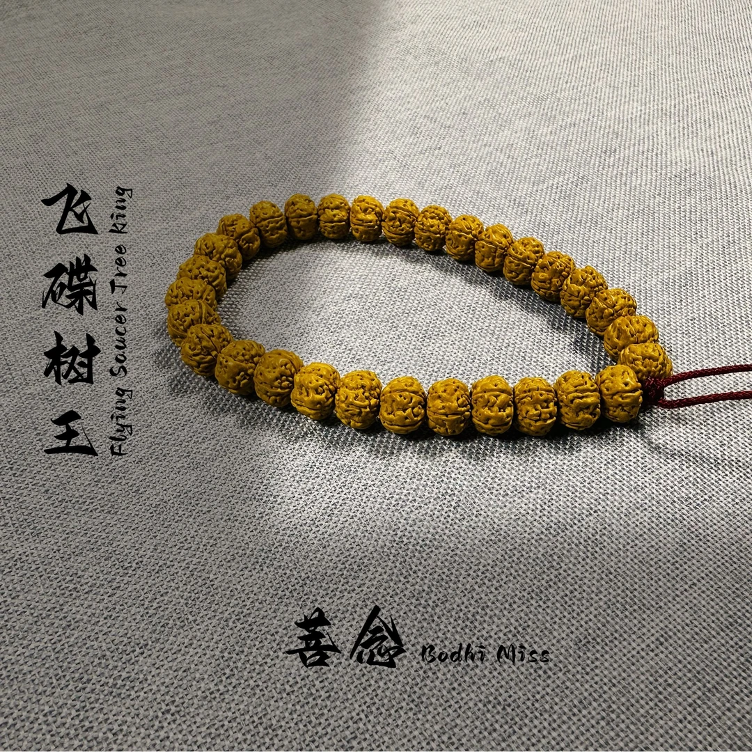 金刚菩提飞碟树王手串