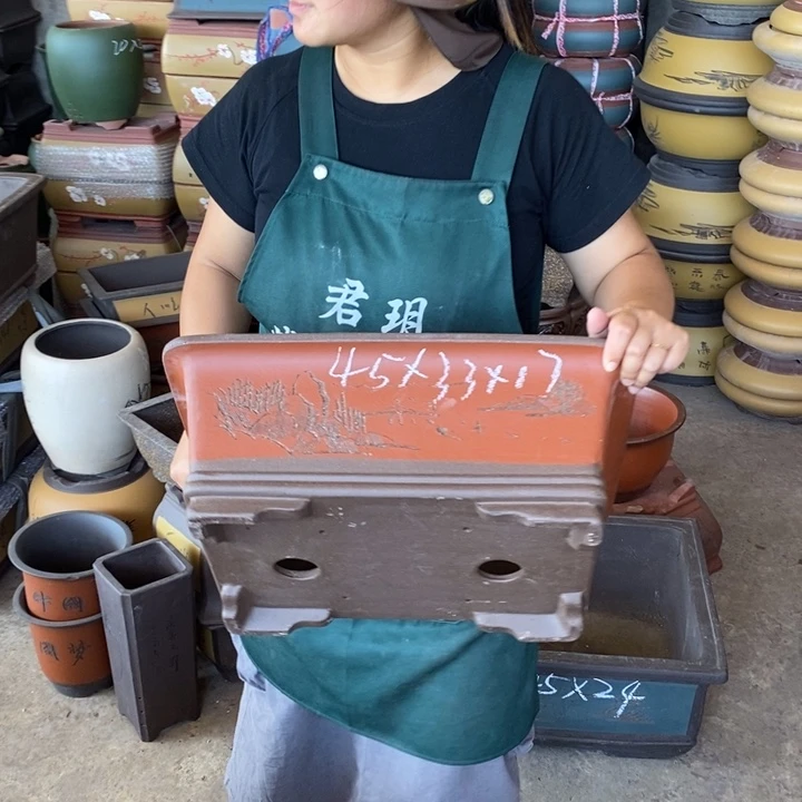 紫砂花盆盆栽花卉苗木