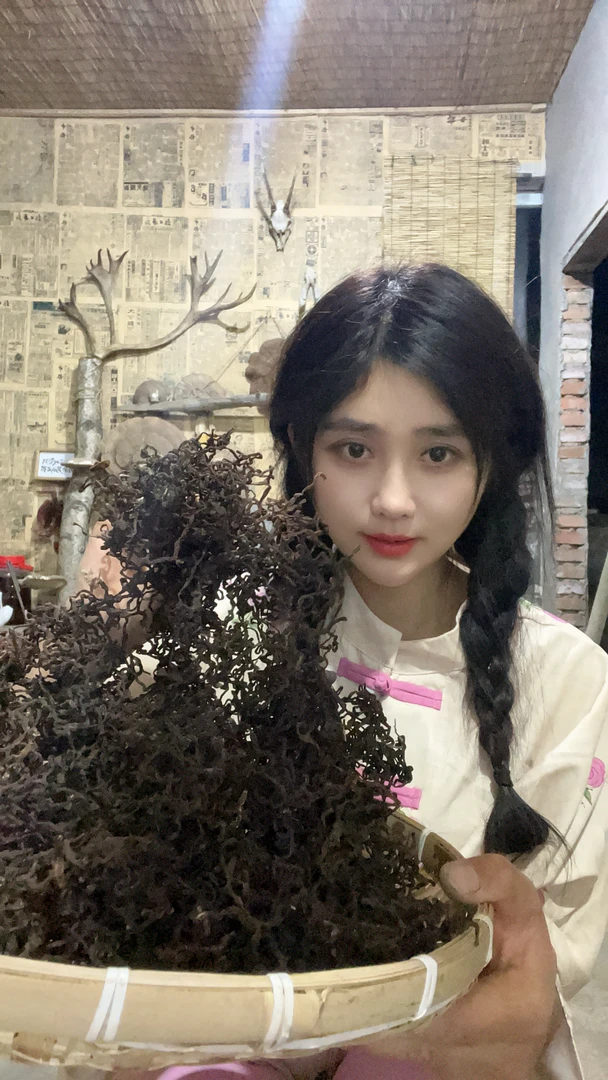 牛毛广 微菜 野生蕨菜