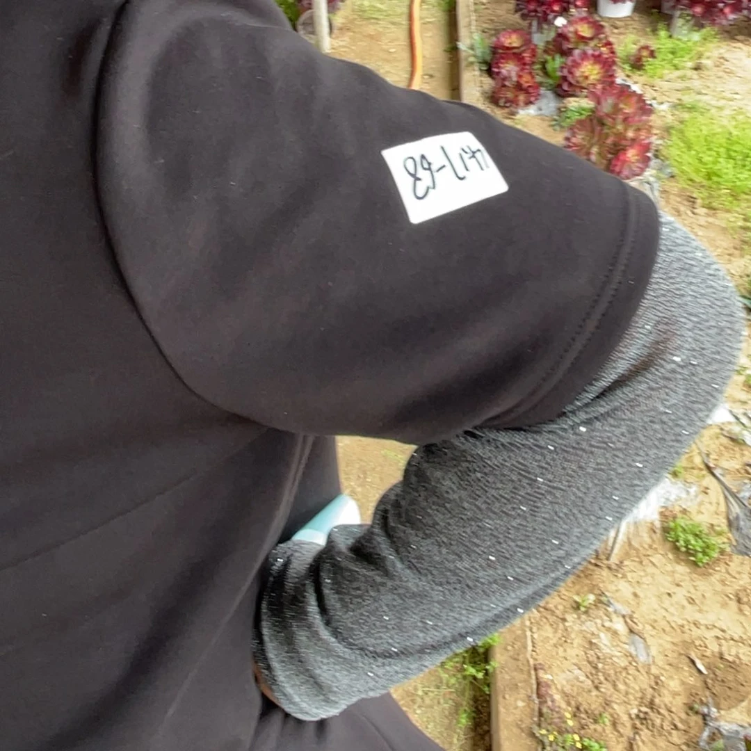 都**客17-68海王七彩寄养