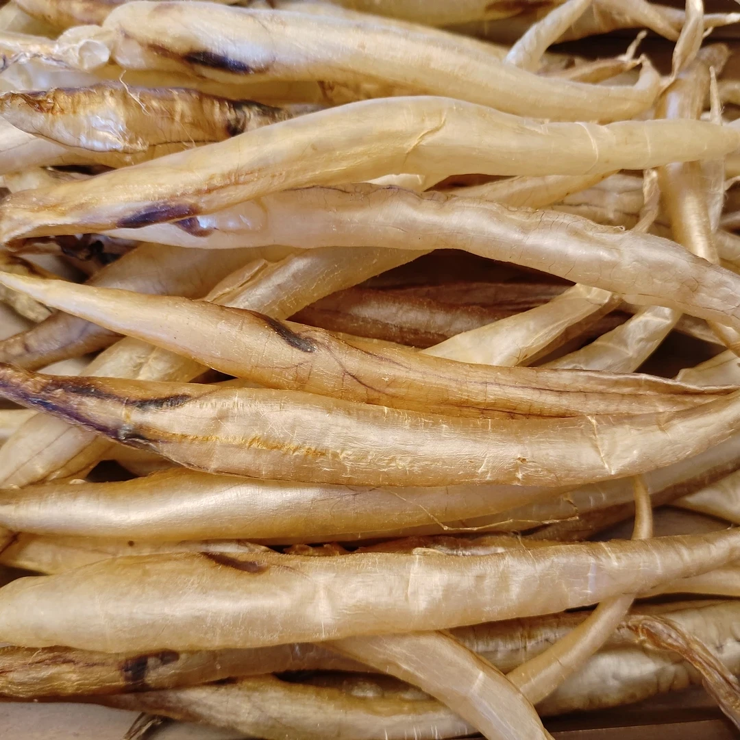 100多头本港黄门鳗鱼胶麻鱼鳔