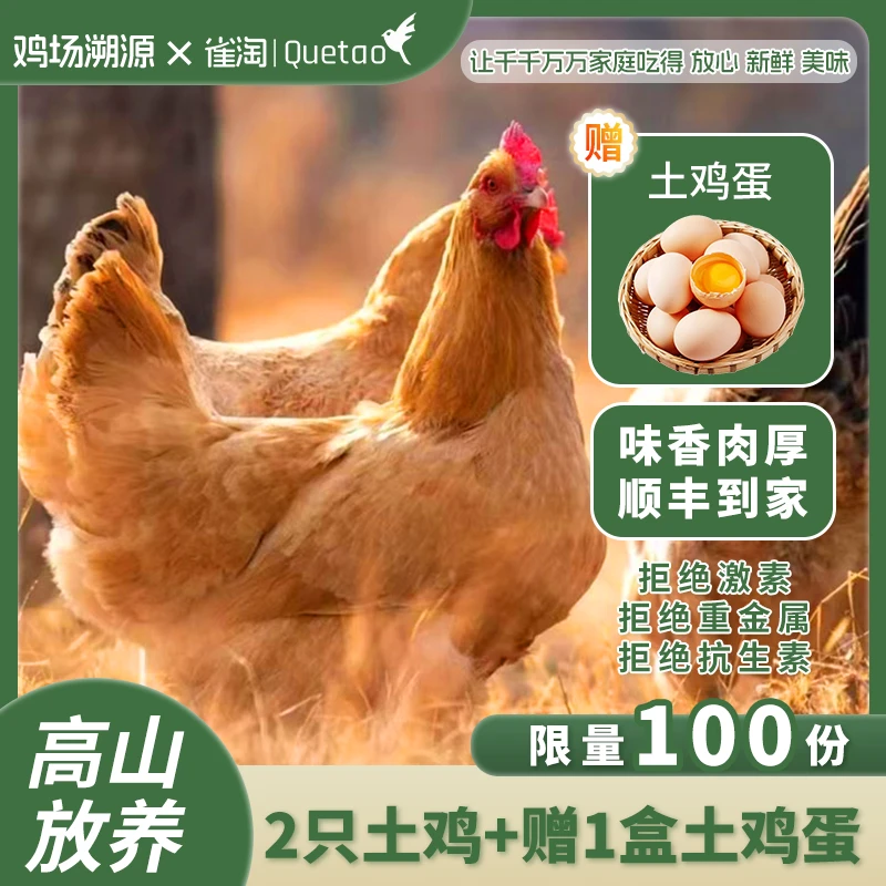 送鸡蛋【拍一发二】雀淘正宗溜达鸡金凤黄油老母鸡2.3~2.6斤*2只