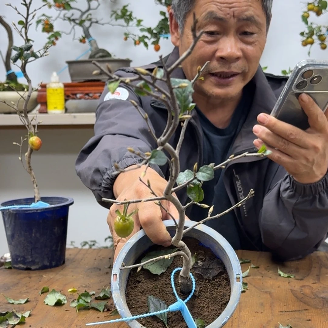 我***以无花朵623。顺丰到付不包邮