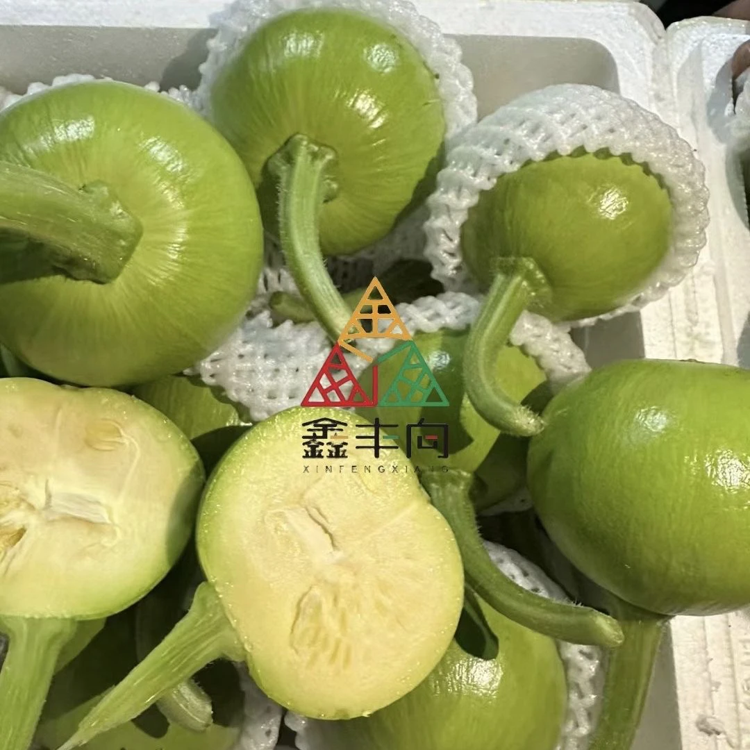 大美丽嫩南瓜种子早熟青苹果型嫩南瓜种子嫩黄肉小南瓜种子口感好