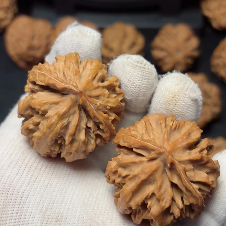 文玩核桃吊坠秦岭野生灯笼10