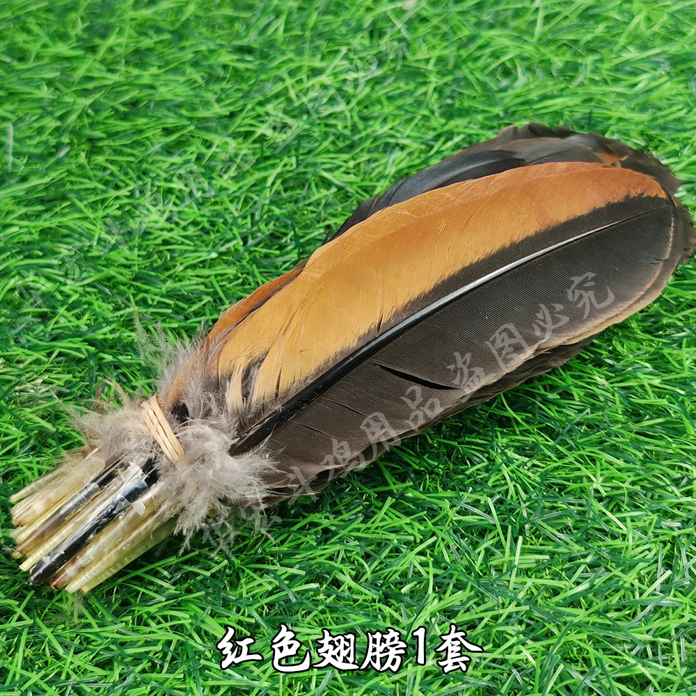 斗鸡翅膀毛红色一副含左右两边 斗鸡专用接羽毛粘翅膀毛