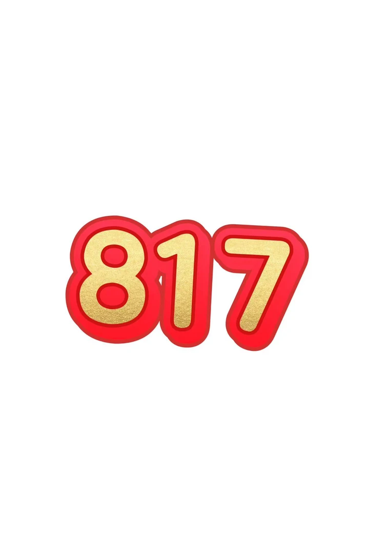 817-时尚百搭格子马甲