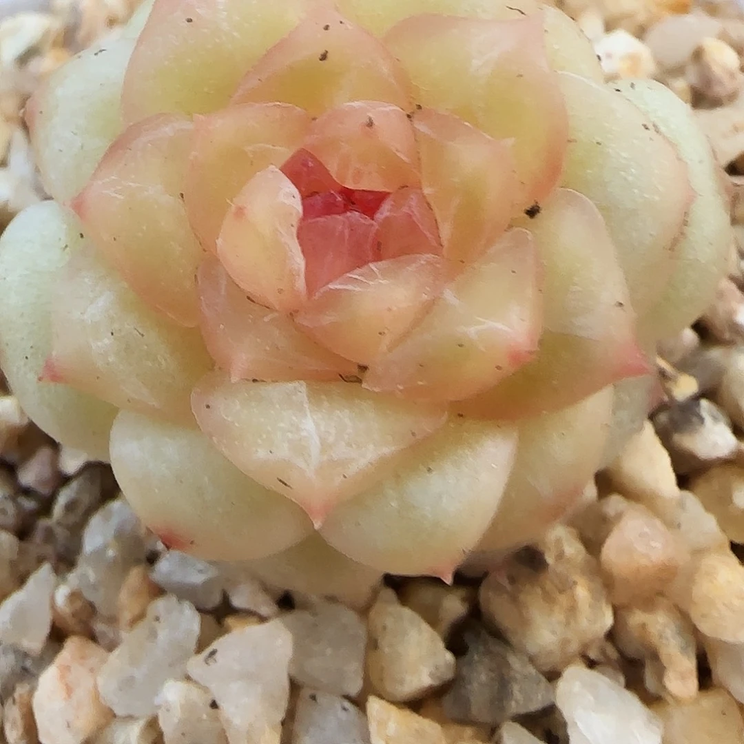 106号哈哈哈哈哈哈