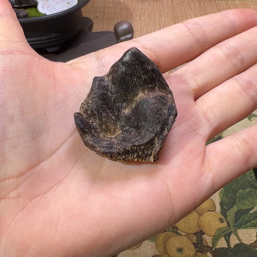 香榧木海南木料大山沉水老包头4.6克