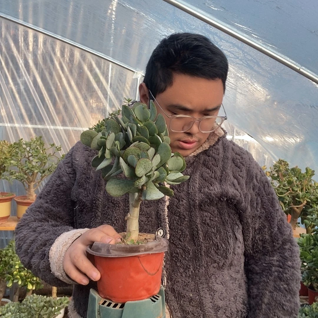 蓝***云完全开放蓝鸟一物一拍都好看