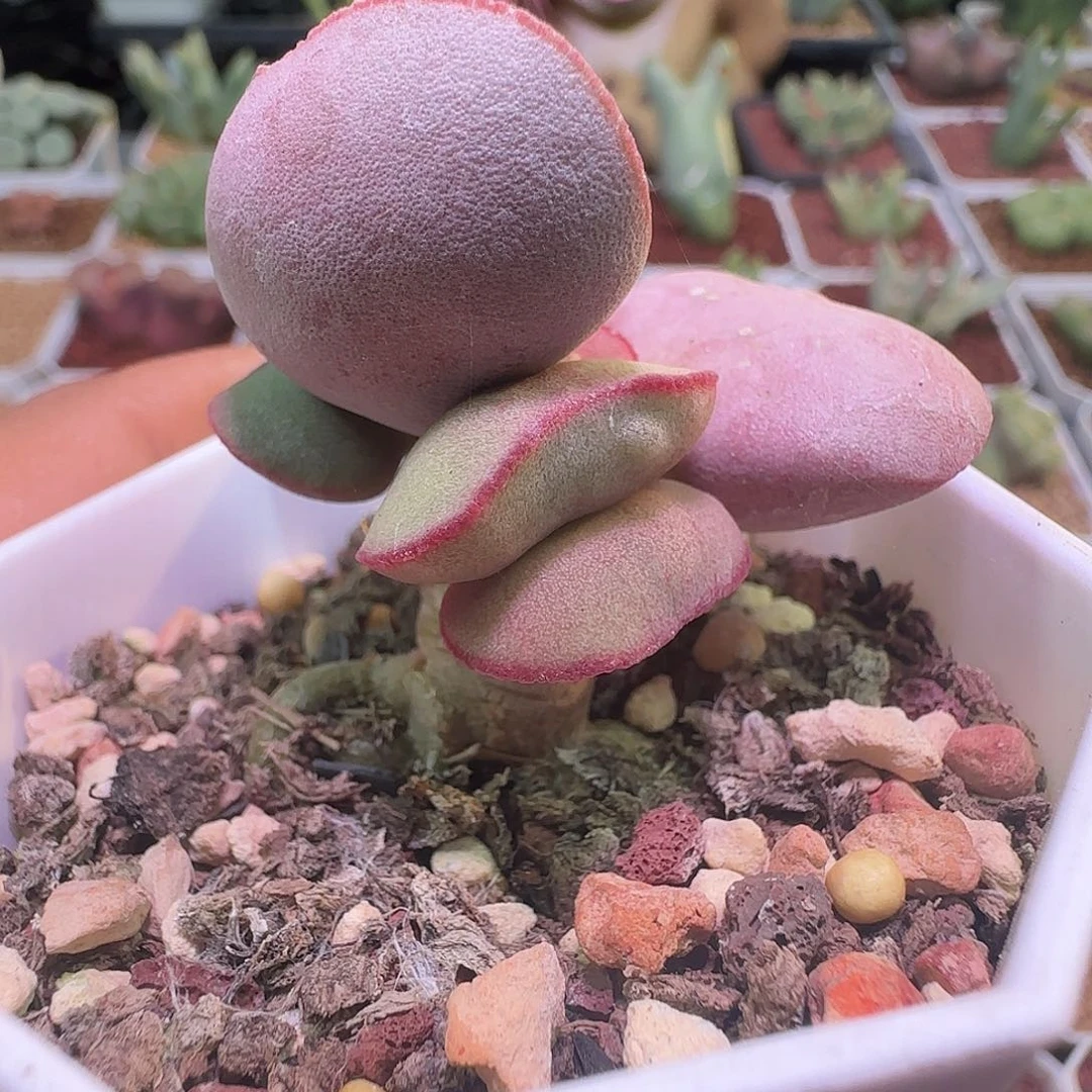 哈哈哈哈哈哈哈哈763