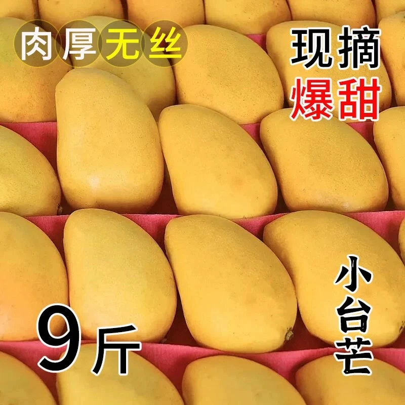 【 现货产地直发 小/大台芒】广西百色小大台芒爆甜多汁核薄肉厚