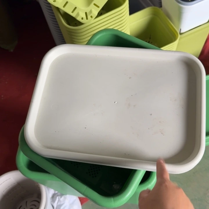 新款菜盆4个米色无托