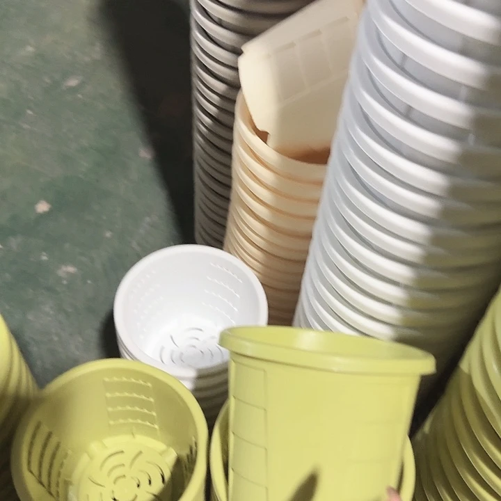 编号501果绿无托6个