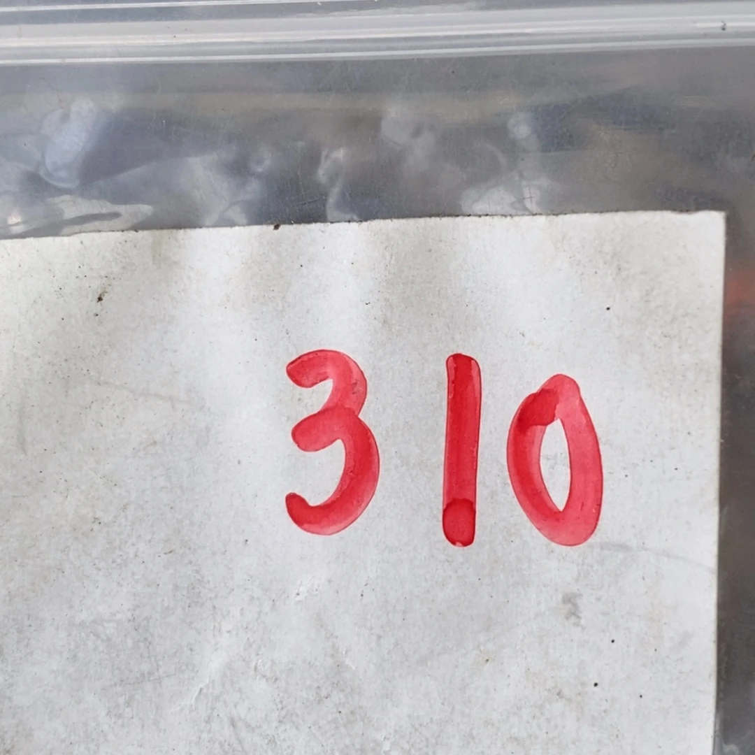 黎***光吊坠龙脊菩提德宝文玩直播间专属链接
