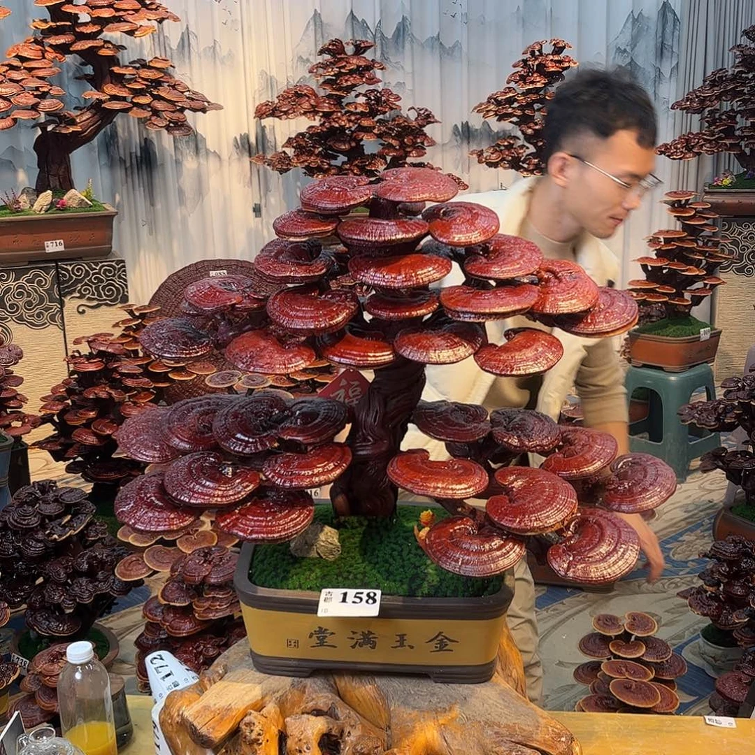 无花朵88888888888