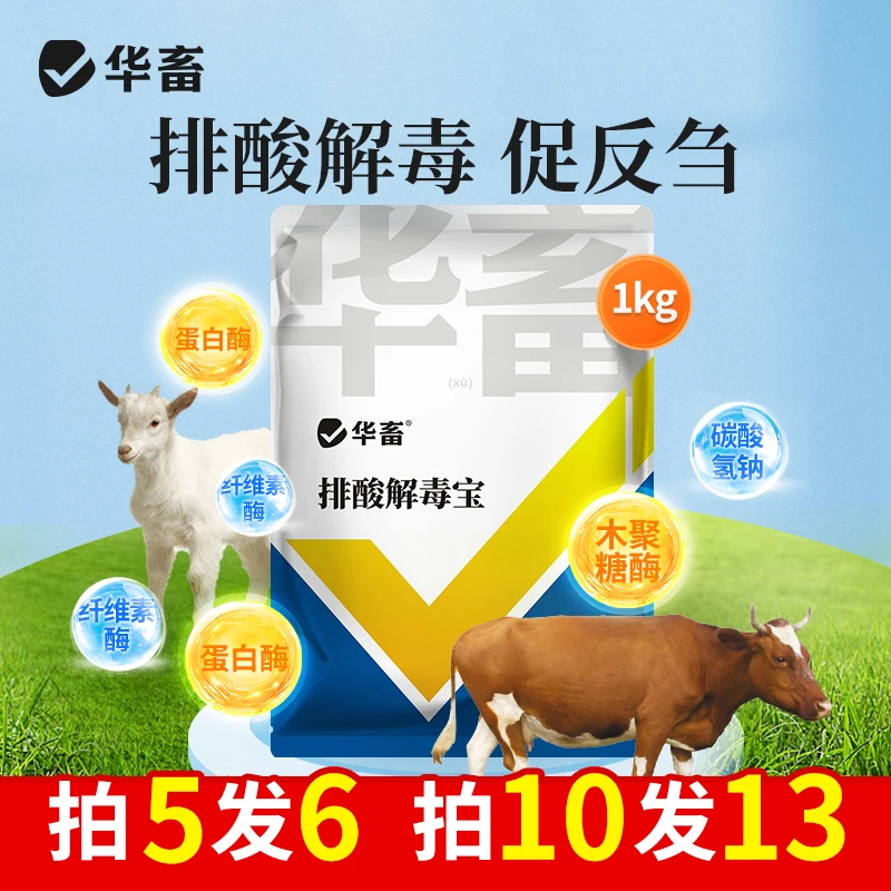 【拍5发6】排酸解毒宝1kg 过料 酸 大腿瘸排酸宝 S