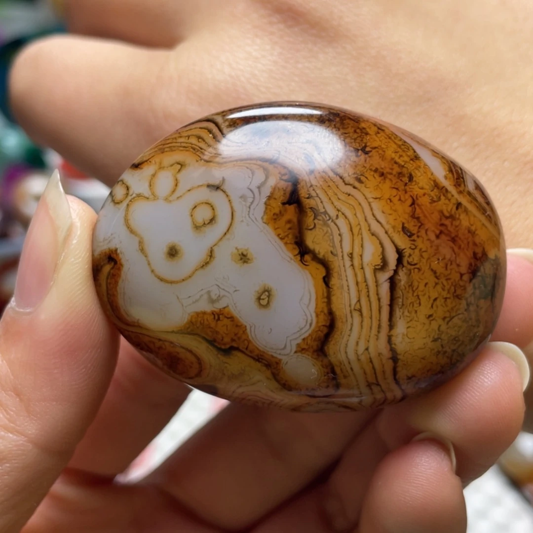 【闪购商品】未镶嵌玛瑙/玉髓珠宝奇石