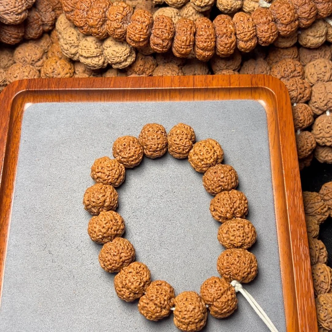 22号尼泊尔大金刚21满肉五星蜂王