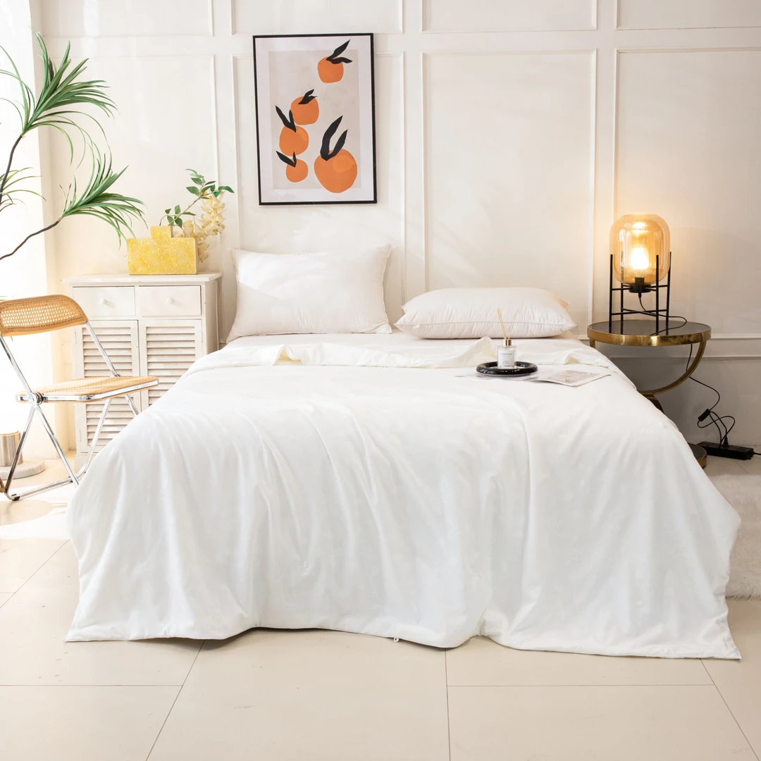 【ZR8.5】民光天然蚕丝夏被