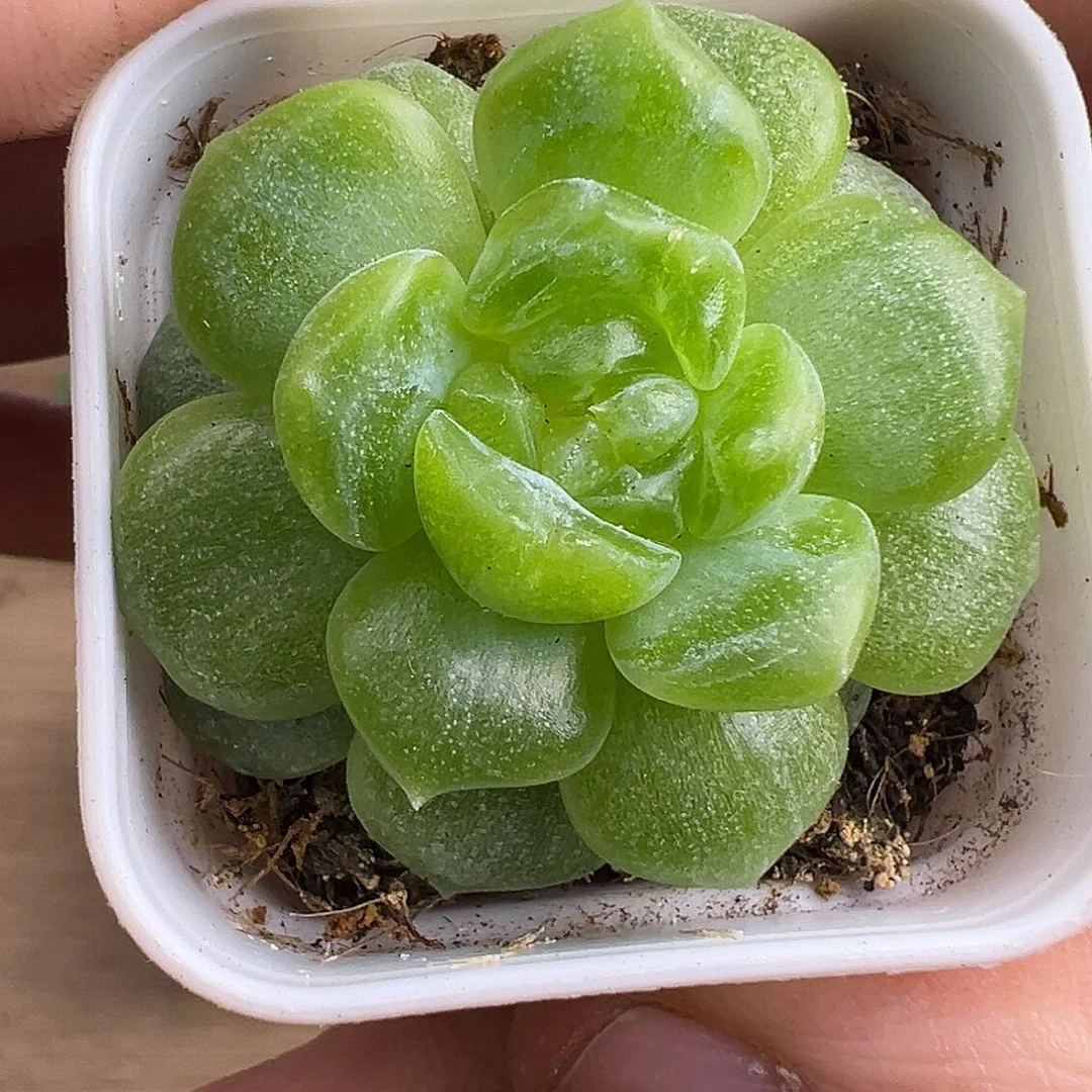 下播福利。