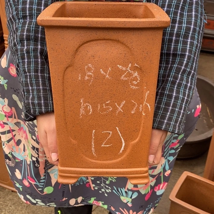 紫砂花盆只顾看手机u