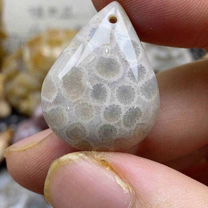 颈饰未镶嵌硅化珊瑚（珊瑚玉）小