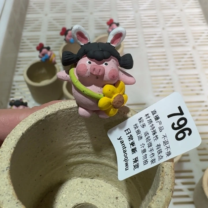 炏陶器物多肉花盆796