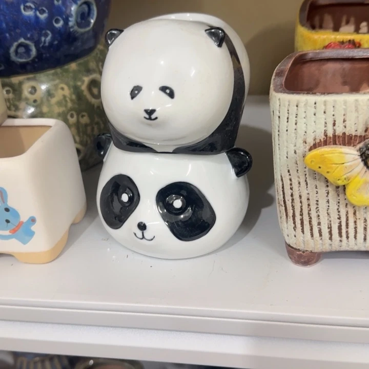 凑满9.9包邮花盆花盆