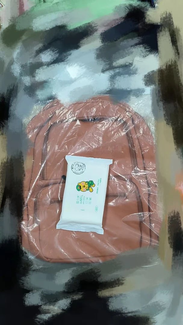 双肩背旅行包学生必备湿厕纸