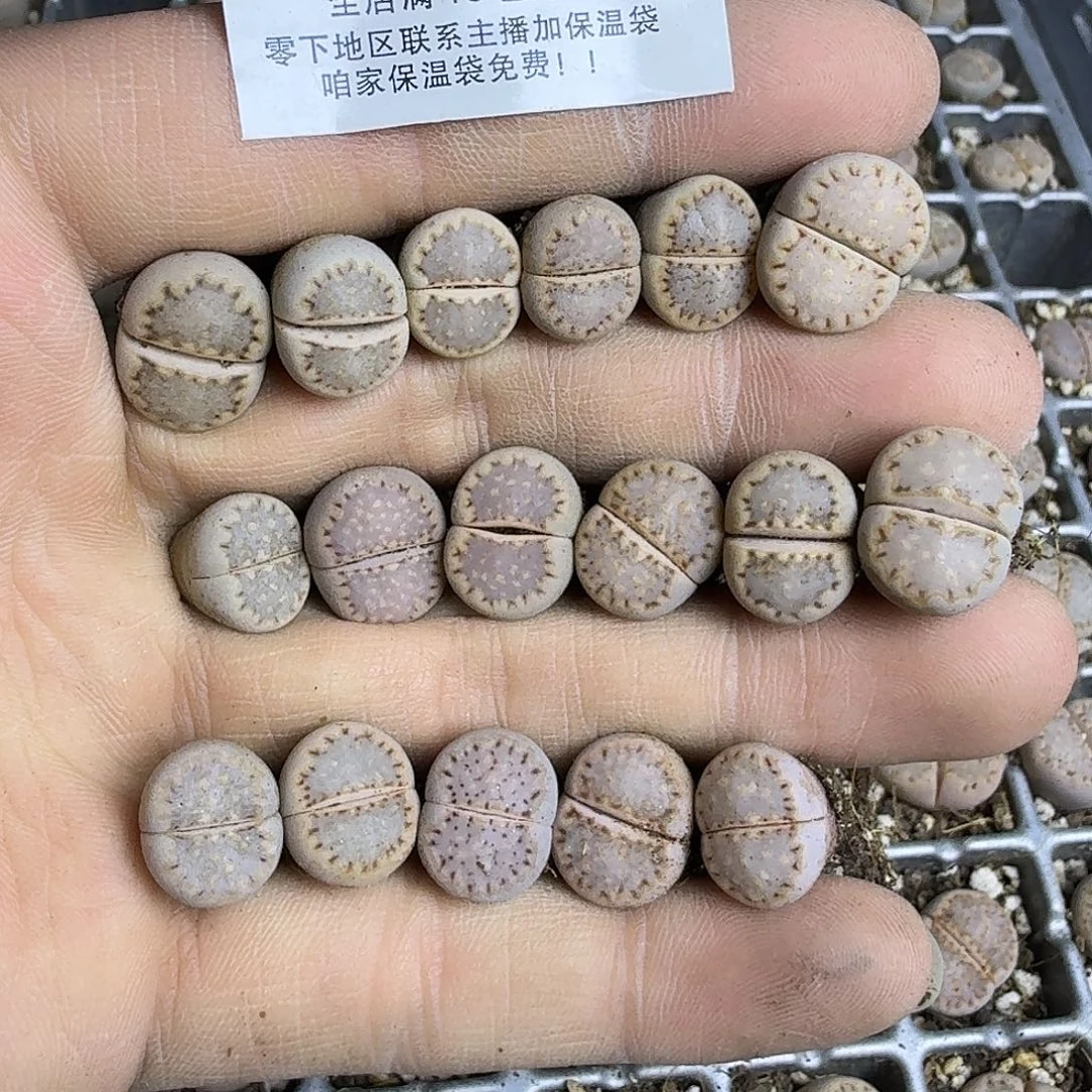 四***敏1344 哈哈哈哈哈哈哈哈哈