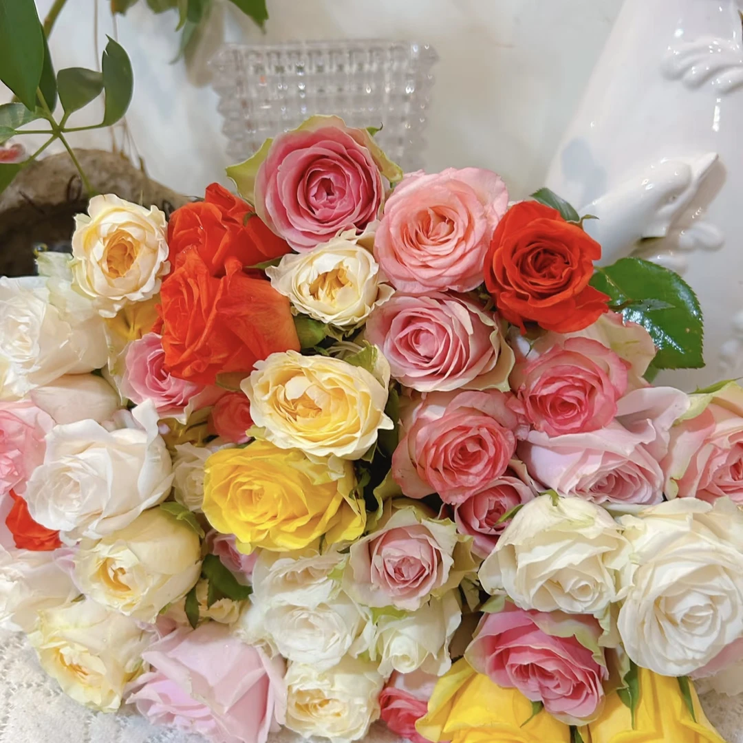 【玫瑰系列】玫瑰东北基地直发顺丰包邮办公室10支装香水百合