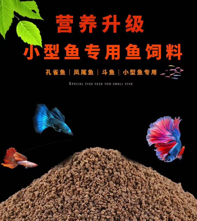 小型热带鱼鱼粮高蛋白营养不坏水提色
