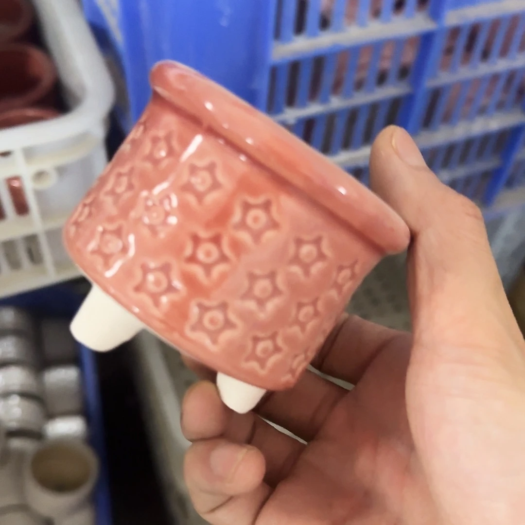 福利局绿植多肉盆［凑9元包邮24小时发］5039